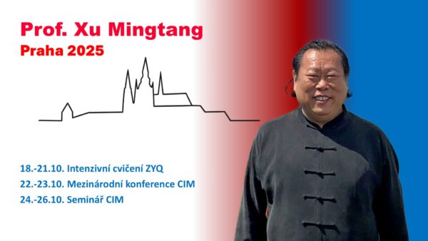 Intenzivní cvičení ZY Qigong, 10. mezinárodní konference Image Medicine, Seminář Image Medicine